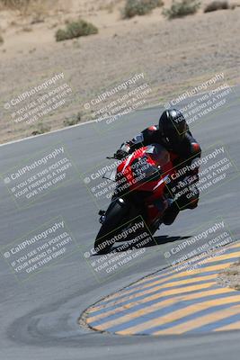 media/Apr-09-2023-SoCal Trackdays (Sun) [[333f347954]]/Turn 10 (115pm)/